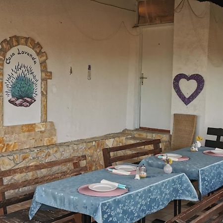 Casa Lavanda - Karin Gornji กอร์นยิ คาริน ภายนอก รูปภาพ